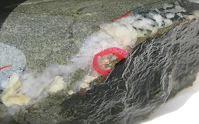 Meteoric Resources报道了Butchers Creek的厚而可见的金矿化